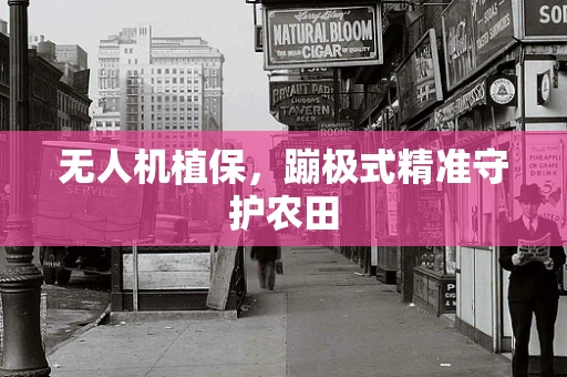 无人机植保，蹦极式精准守护农田