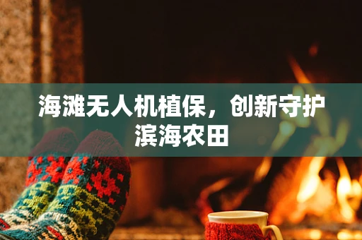海滩无人机植保，创新守护滨海农田