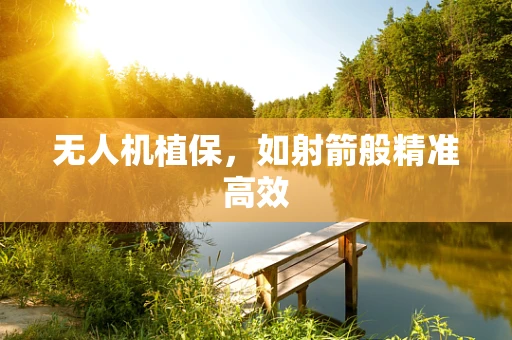 无人机植保，如射箭般精准高效