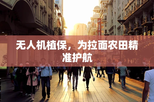 无人机植保，为拉面农田精准护航