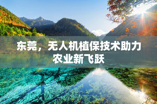东莞，无人机植保技术助力农业新飞跃