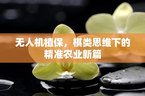 无人机植保，棋类思维下的精准农业新篇