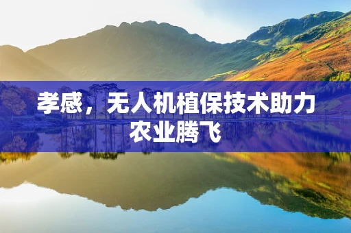 孝感，无人机植保技术助力农业腾飞