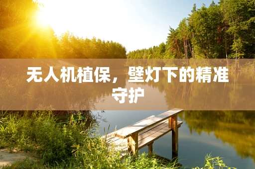 无人机植保，壁灯下的精准守护