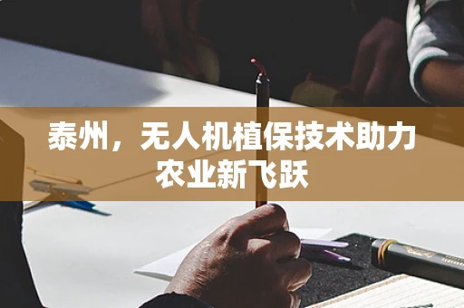 泰州，无人机植保技术助力农业新飞跃
