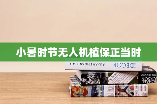 小暑时节无人机植保正当时