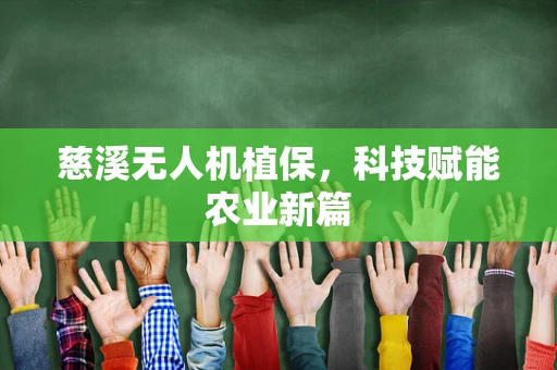 慈溪无人机植保，科技赋能农业新篇
