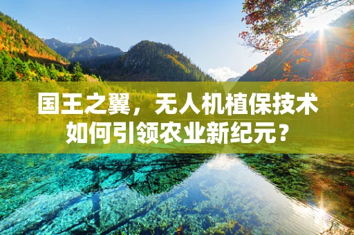 国王之翼，无人机植保技术如何引领农业新纪元？