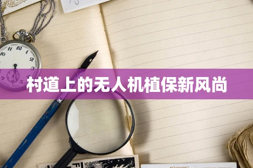 村道上的无人机植保新风尚