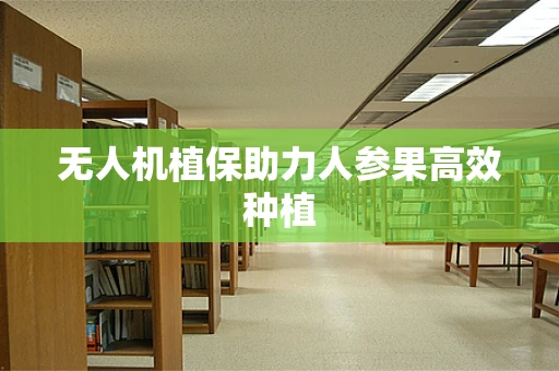 无人机植保助力人参果高效种植