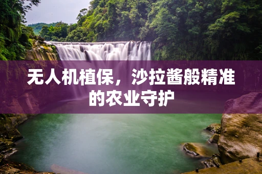 无人机植保，沙拉酱般精准的农业守护