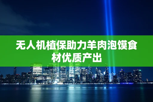 无人机植保助力羊肉泡馍食材优质产出