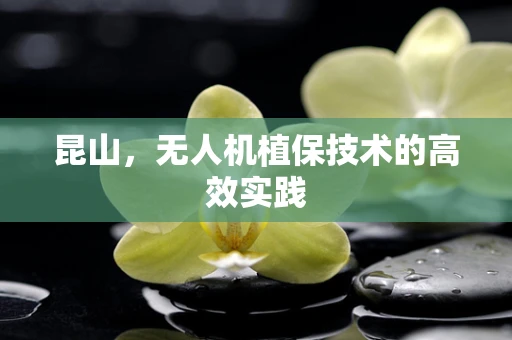昆山，无人机植保技术的高效实践