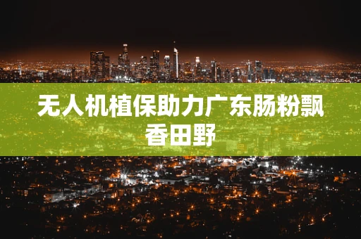 无人机植保助力广东肠粉飘香田野