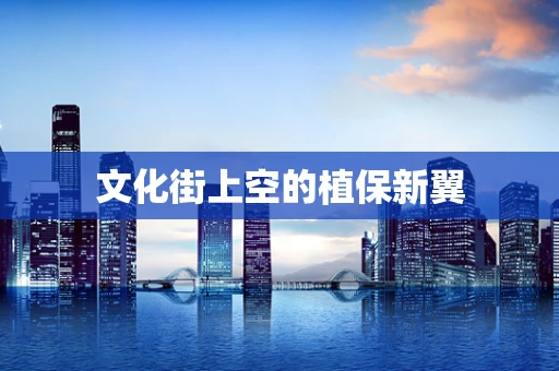 文化街上空的植保新翼