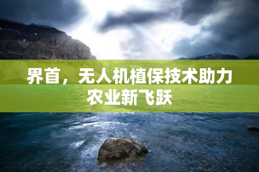界首，无人机植保技术助力农业新飞跃