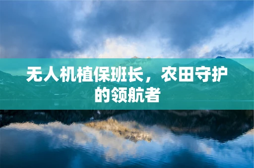 无人机植保班长，农田守护的领航者