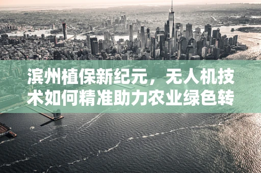 滨州植保新纪元，无人机技术如何精准助力农业绿色转型？