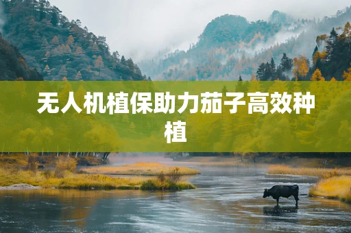 无人机植保助力茄子高效种植