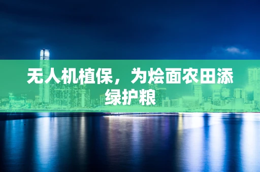 无人机植保，为烩面农田添绿护粮