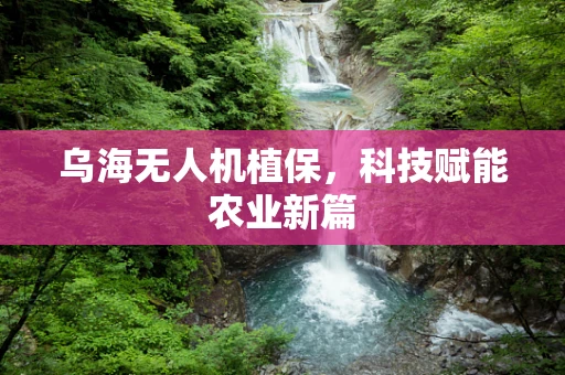 乌海无人机植保，科技赋能农业新篇