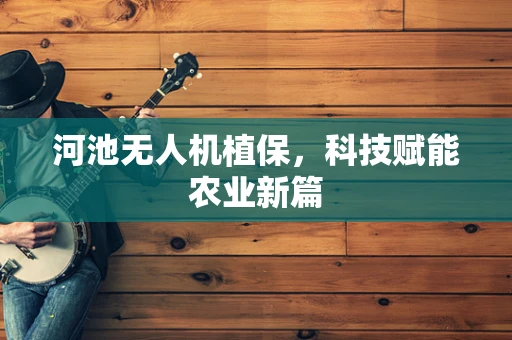 河池无人机植保，科技赋能农业新篇