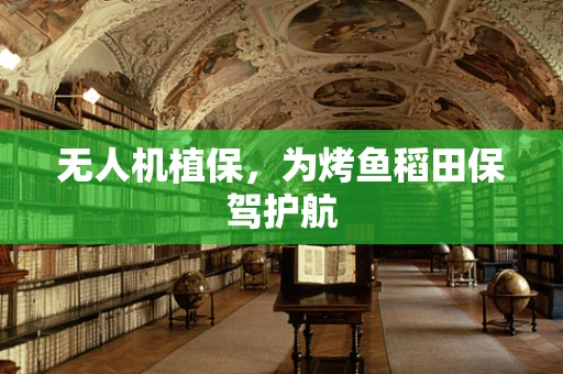 无人机植保，为烤鱼稻田保驾护航