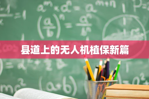 县道上的无人机植保新篇
