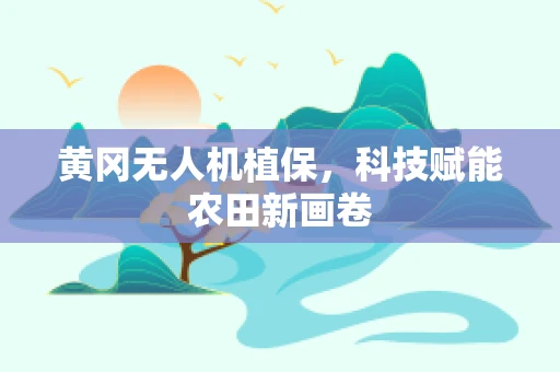 黄冈无人机植保，科技赋能农田新画卷