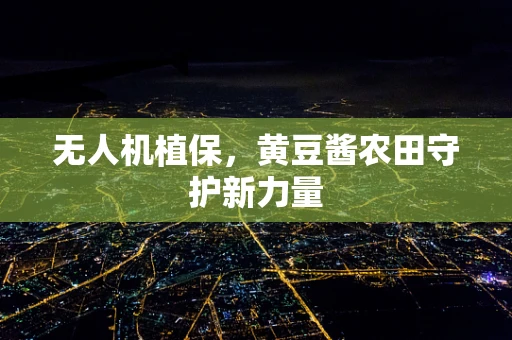 无人机植保，黄豆酱农田守护新力量