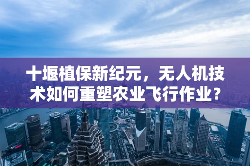 十堰植保新纪元，无人机技术如何重塑农业飞行作业？