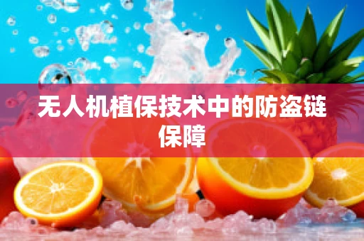 无人机植保技术中的防盗链保障