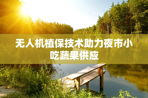 无人机植保技术助力夜市小吃蔬果供应