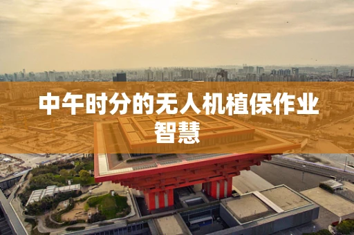 中午时分的无人机植保作业智慧