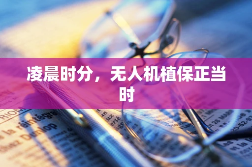 凌晨时分，无人机植保正当时