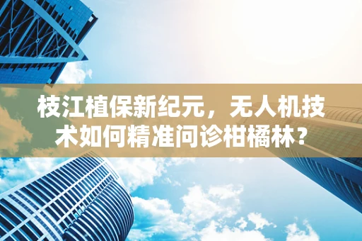 枝江植保新纪元，无人机技术如何精准问诊柑橘林？
