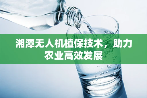 湘潭无人机植保技术，助力农业高效发展