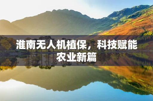 淮南无人机植保，科技赋能农业新篇