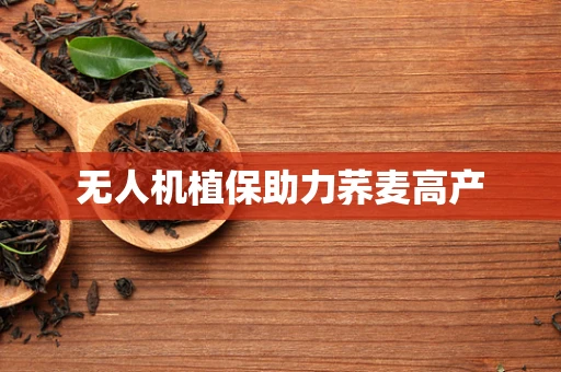无人机植保助力荞麦高产
