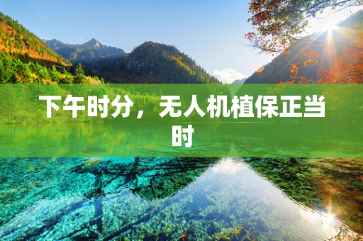下午时分，无人机植保正当时