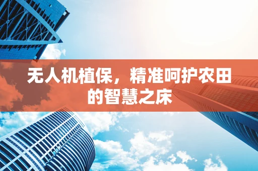无人机植保，精准呵护农田的智慧之床
