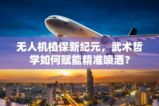 无人机植保新纪元，武术哲学如何赋能精准喷洒？