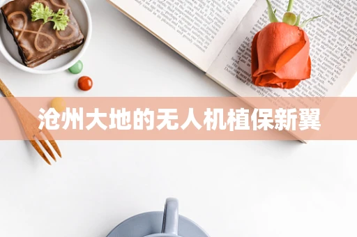 沧州大地的无人机植保新翼