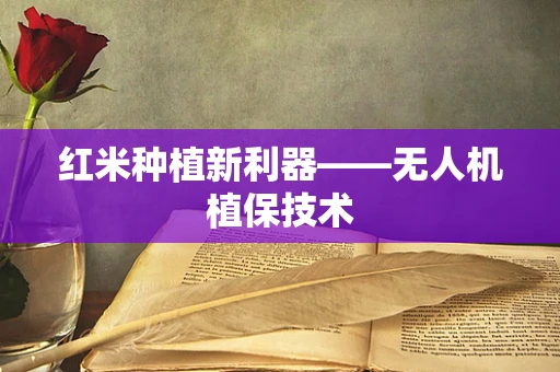红米种植新利器——无人机植保技术