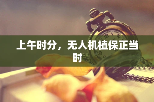 上午时分，无人机植保正当时