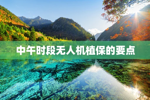 中午时段无人机植保的要点