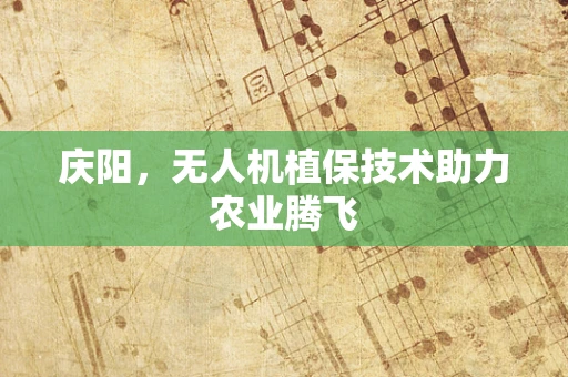 庆阳，无人机植保技术助力农业腾飞