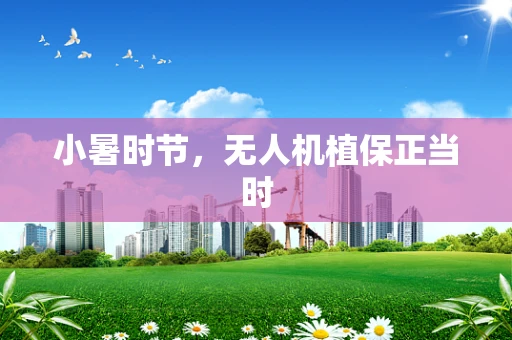 小暑时节，无人机植保正当时