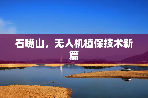 石嘴山，无人机植保技术新篇
