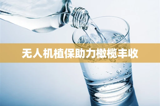 无人机植保助力橄榄丰收